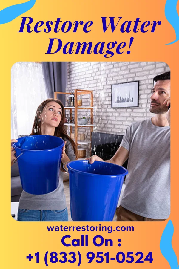 water restoration Ace Water Damage Co North Mankato