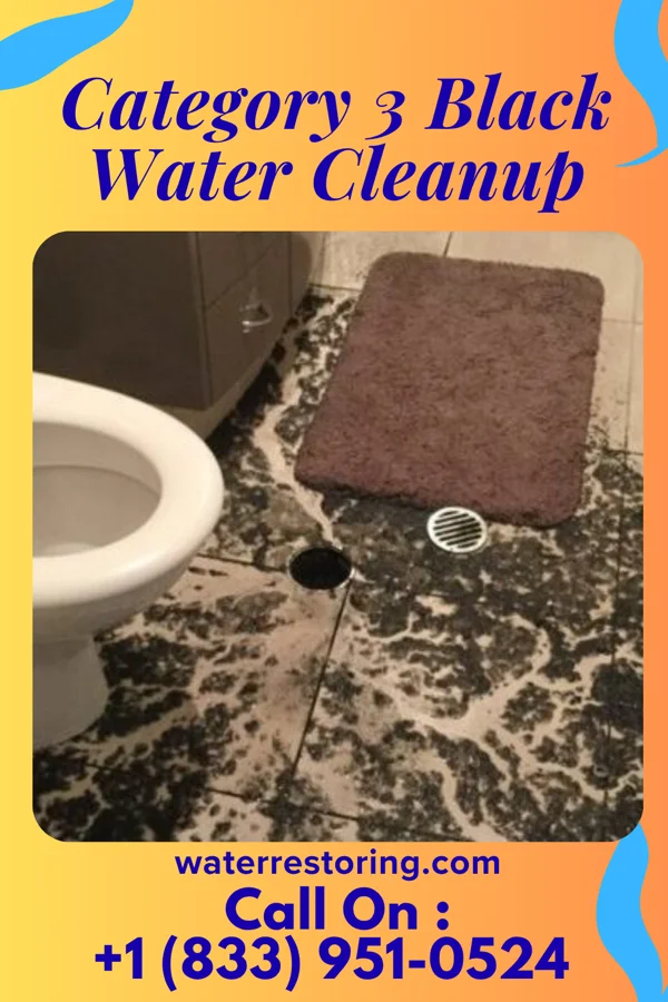 Category 3 Black Water Cleanup in North Mankato, MN