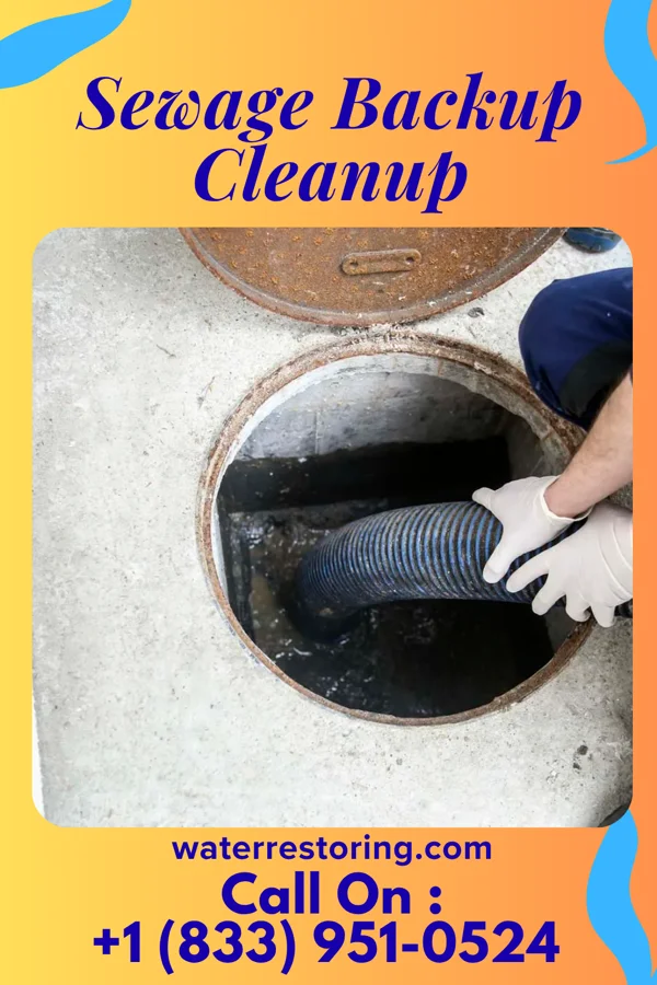 Sewage Backup Cleanup in North Mankato, MN