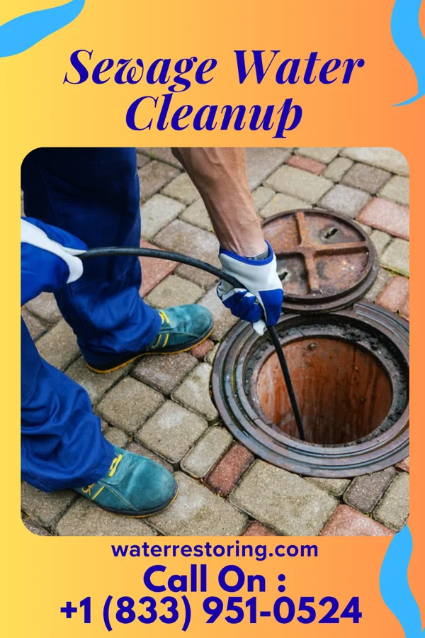 Sewage Water Cleanup in North Mankato, MN